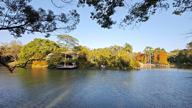 下午四點，來華南植物園，會有驚喜