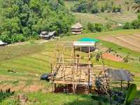 🍃 Nature Trail at Doi Inthanon Chiang Mai🚶‍♀️