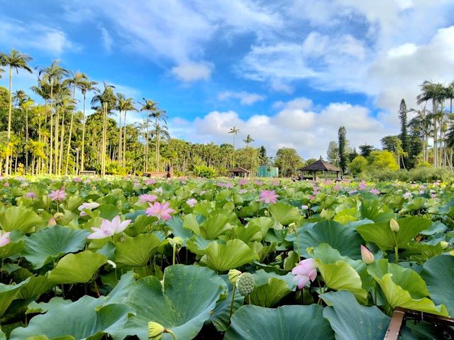 Southeast Botanical Gardens