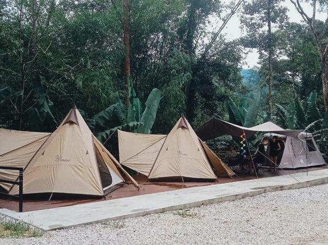 The HIJAU Camp & Cabin