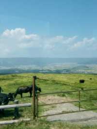 Riding horse and visit active volcano in Kumamoto!