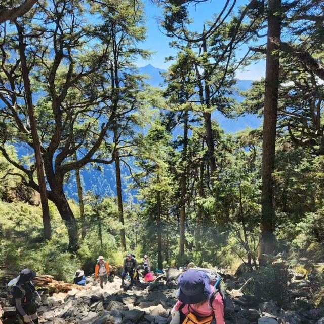 🏔️漫步在雲端｜台灣百岳之首「玉山 」