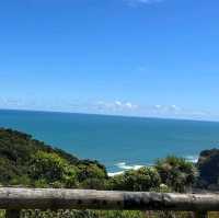 Muriwai Beach