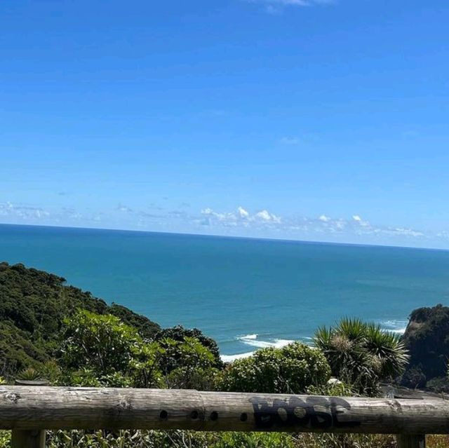 Muriwai Beach