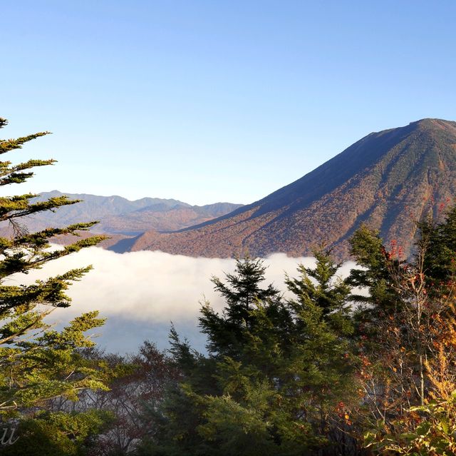 【栃木県】奥日光のシンボル！中禅寺湖・八丁出島の紅葉