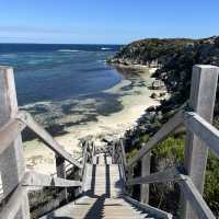 第三次探訪 Rottnest Island：美景與騎行的絕佳體驗