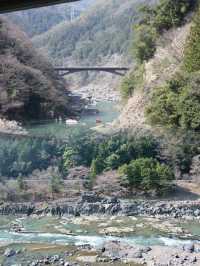 Spring Awakens: A Scenic Journey on the Sagano Arashiyama Train