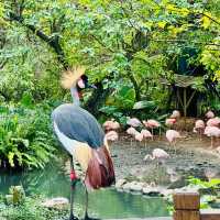 動物樂園的奇妙之旅 — 走進台北市立動物園