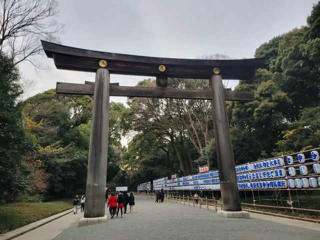 Embrace the Sacred Calm of Meiji Jingu