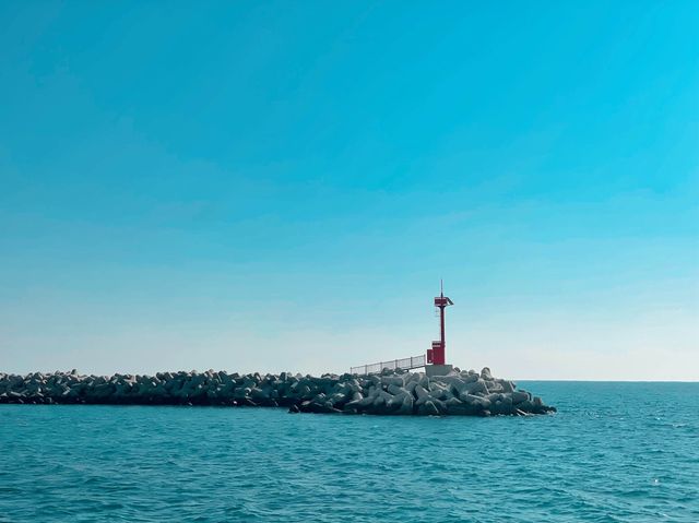 Don’t miss out on Haeundae in winter! 🌊