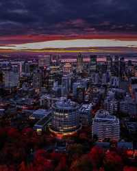 ┊Montreal Trip┊Beautiful Night View┊