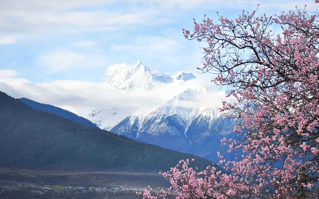 三月·川藏林芝桃花節（成都到拉薩）。