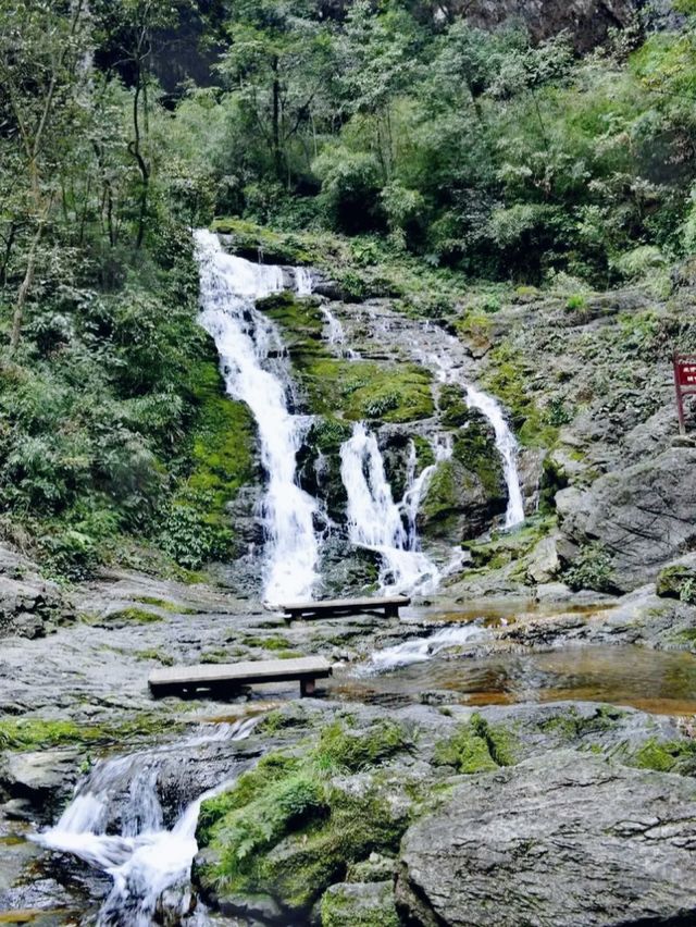 黑山谷|打卡重慶黑山谷風景區