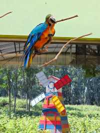 《野性的呼喚：北京野生動物園探祕之旅》。