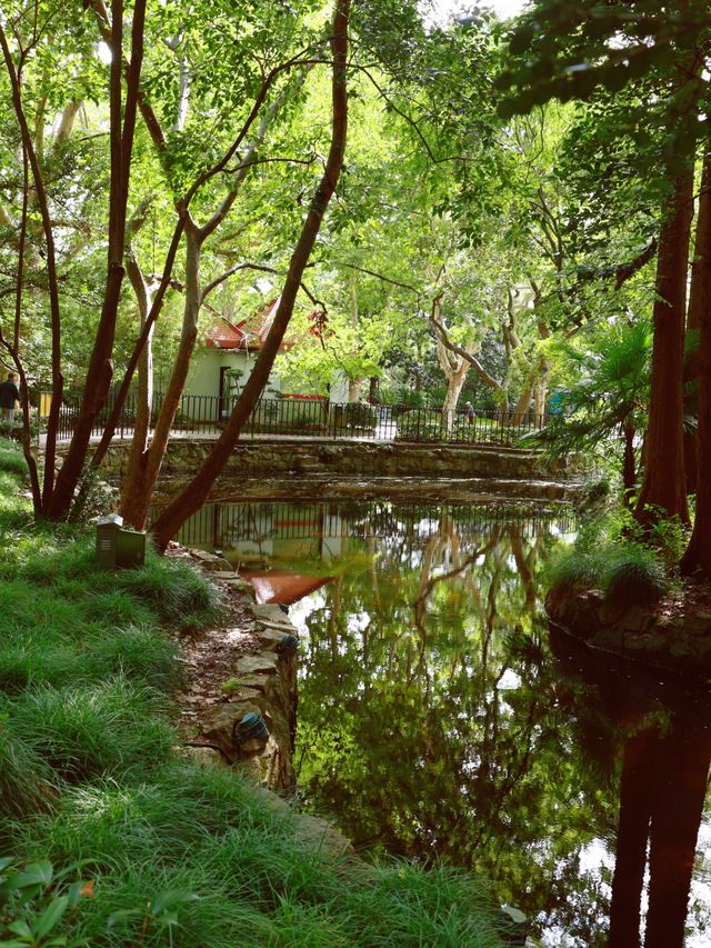 魔都綠寶石|中山公園。