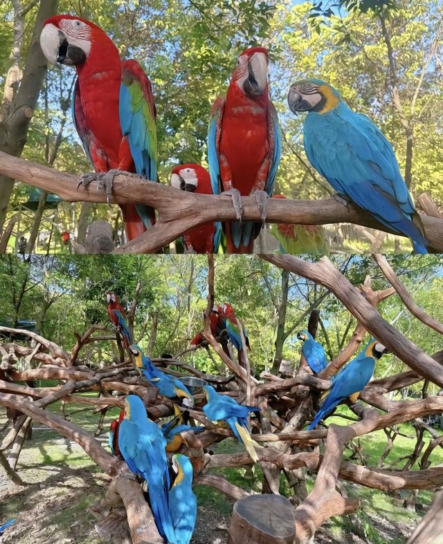 惠州浮生六季生態園小月齡也可以和動物互動。