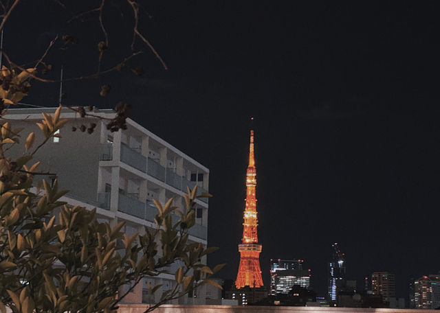 A Late Merry Christmas at Tokyo's Roppongi Christmas Market