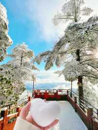 原來四川都有這種雪景，不用再去東北看雪了。