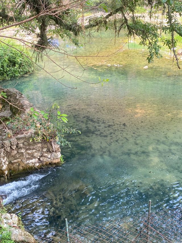 河池-百色-崇左6日遊 看這篇就夠超全攻略