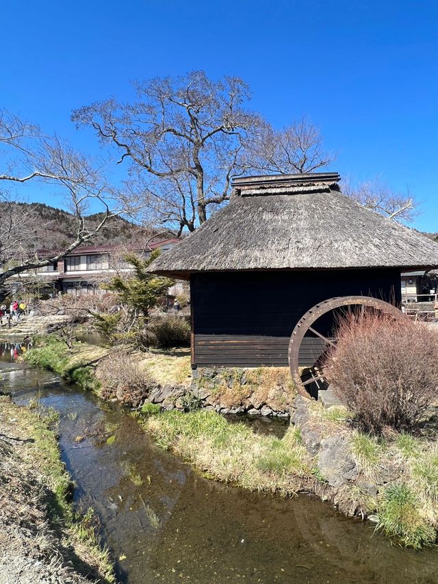 日本7日遊 別錯過這些震撼體驗