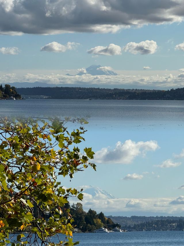 西雅圖遛娃寶藏地！Seward Park 遊玩攻略來啦！