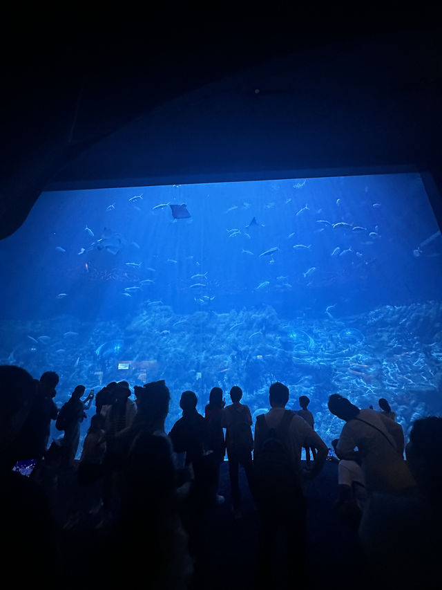 Hong Kong Ocean Park Travel Guide