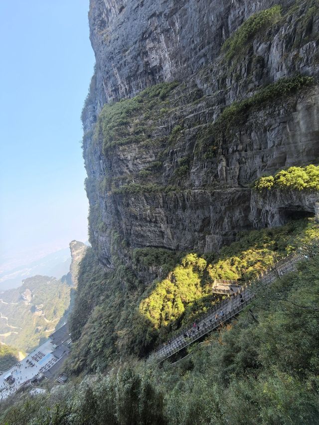 張家界-大峽谷-天門山｜長者遊玩的合適選擇