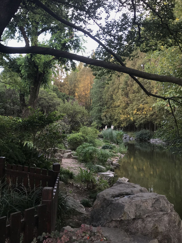 上海植物園一年四季怎麼玩？