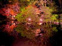 京都秋日浪漫之旅：平安神宮楓葉賞