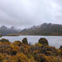 Tasmania Cradle mountain 