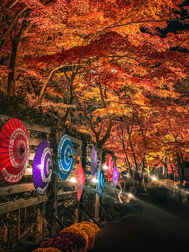 【静岡】絶景すぎるオススメ紅葉スポット