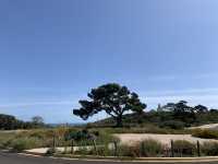 Exploring Cabrillo National Monument: A Day of Stunning Views and Blue Skies