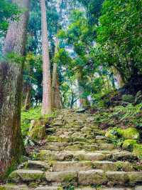 熊野那智大社⛩️美しい朱塗りの社殿は観ないと損✨数ある駐車場は何処を選ぶ⁉️駐車場マップ付き