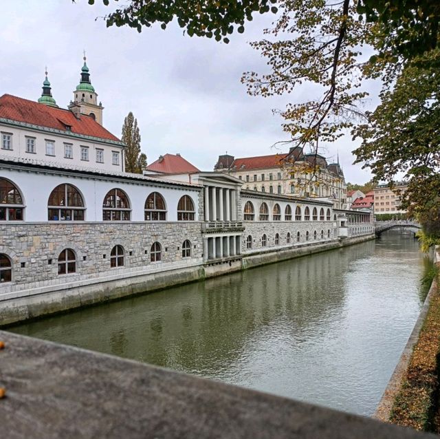 Ljubljana's center market is free to explore 