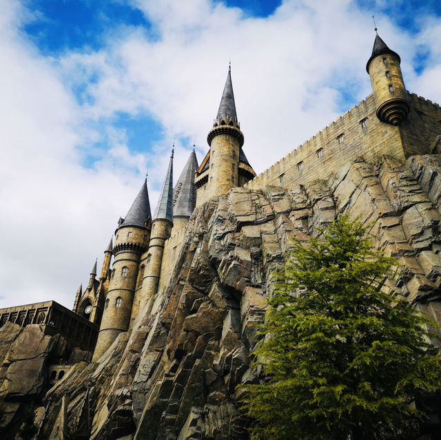 Magical Moments at Hogwarts: Butterbeer, Thrills, and Wizarding Wonders!