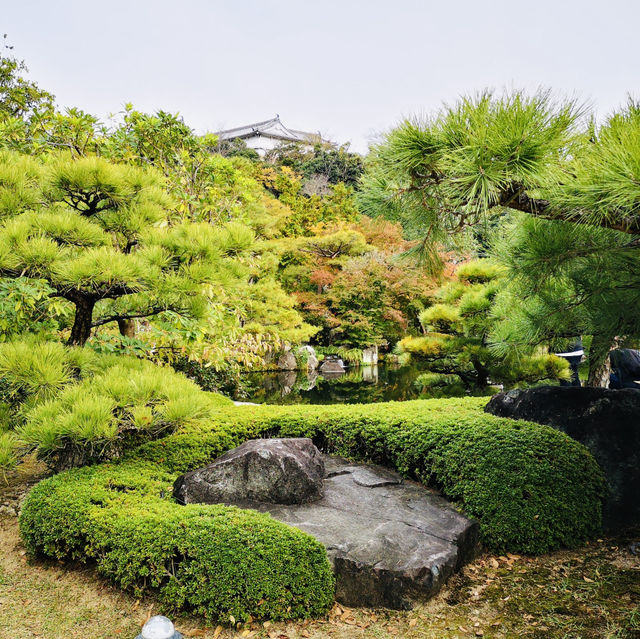 Nature’s Palette: Autumn Bliss at Kokoen Garden, Himeji!