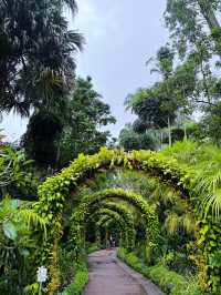 A visit to Singapore botanic garden 🪴 