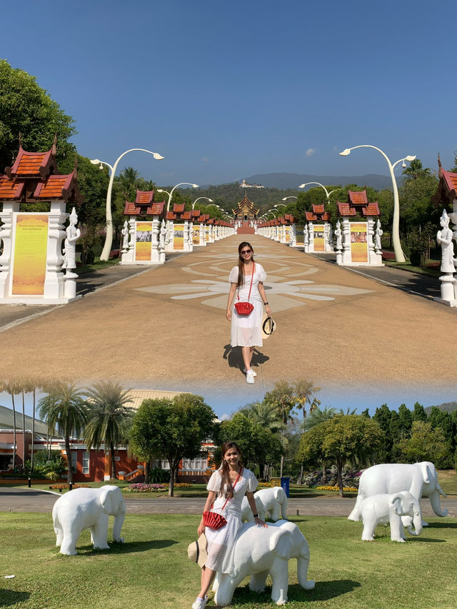 A Spring Stroll in Royal Rajapruek Park