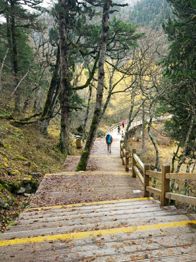 Huanglong ~ A Nature Lover's Paradise