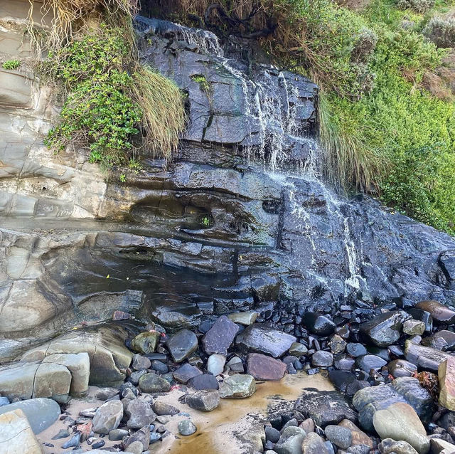 Coastal Bliss at Cape Paterson Beach