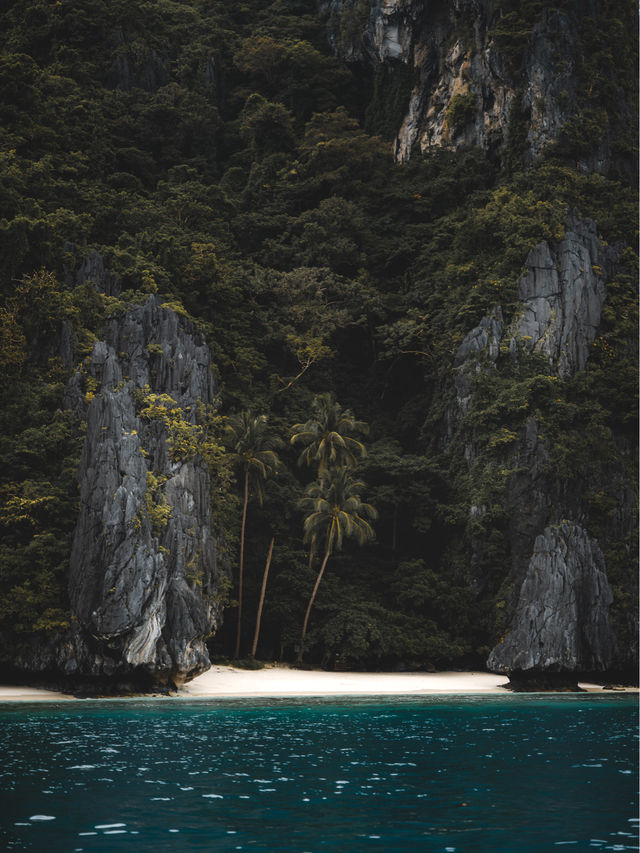 Avatar-like landscape of Palawan