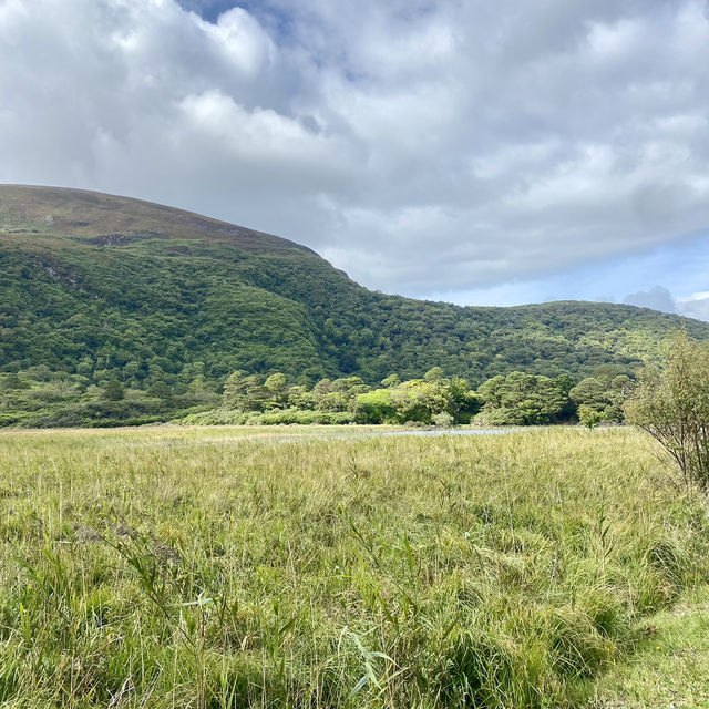 A Picturesque Walk Around Muckross Lake 🌲