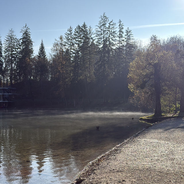 斯洛維尼亞，布萊德湖（Lake Bled）