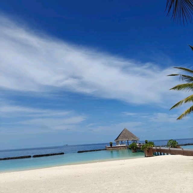 Blue Skies With A Floating Breakfast.