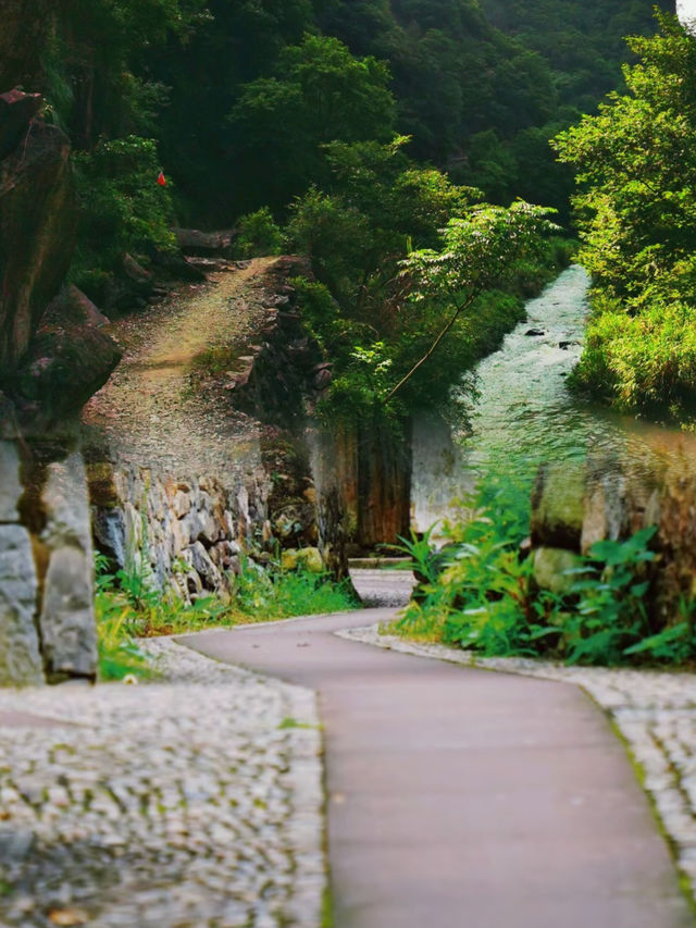 夏日避暑玩水好去處|宁波宁海龍宮古村