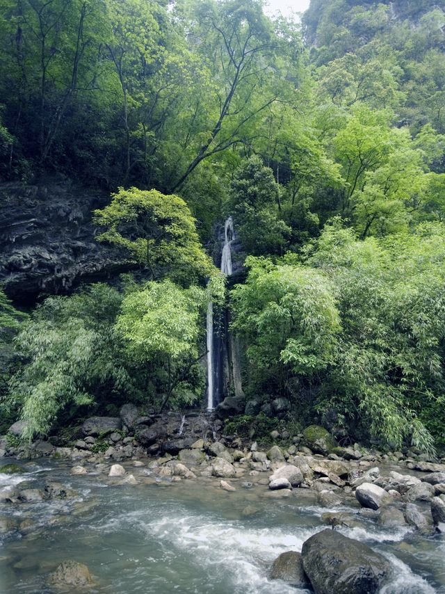 黑山谷|打卡重慶黑山谷風景區