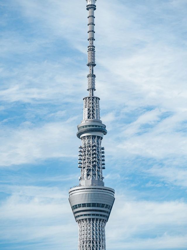 7日深度遊日本 體驗很真實的風情。