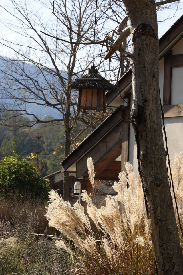 藏於山水間的靜謐庭院。