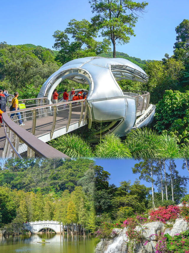 白雲山下的雲蘿植物園開園啦