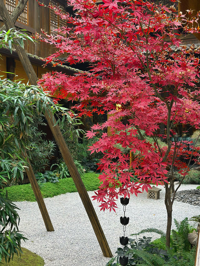 米芝蓮餐廳裡的功夫川菜